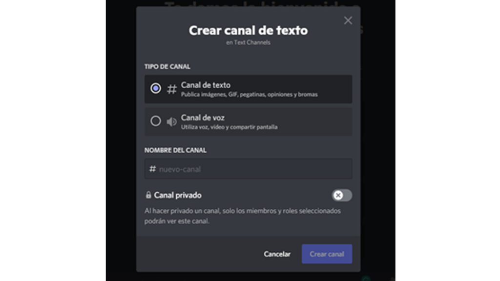 caracteristicas-canal-discord